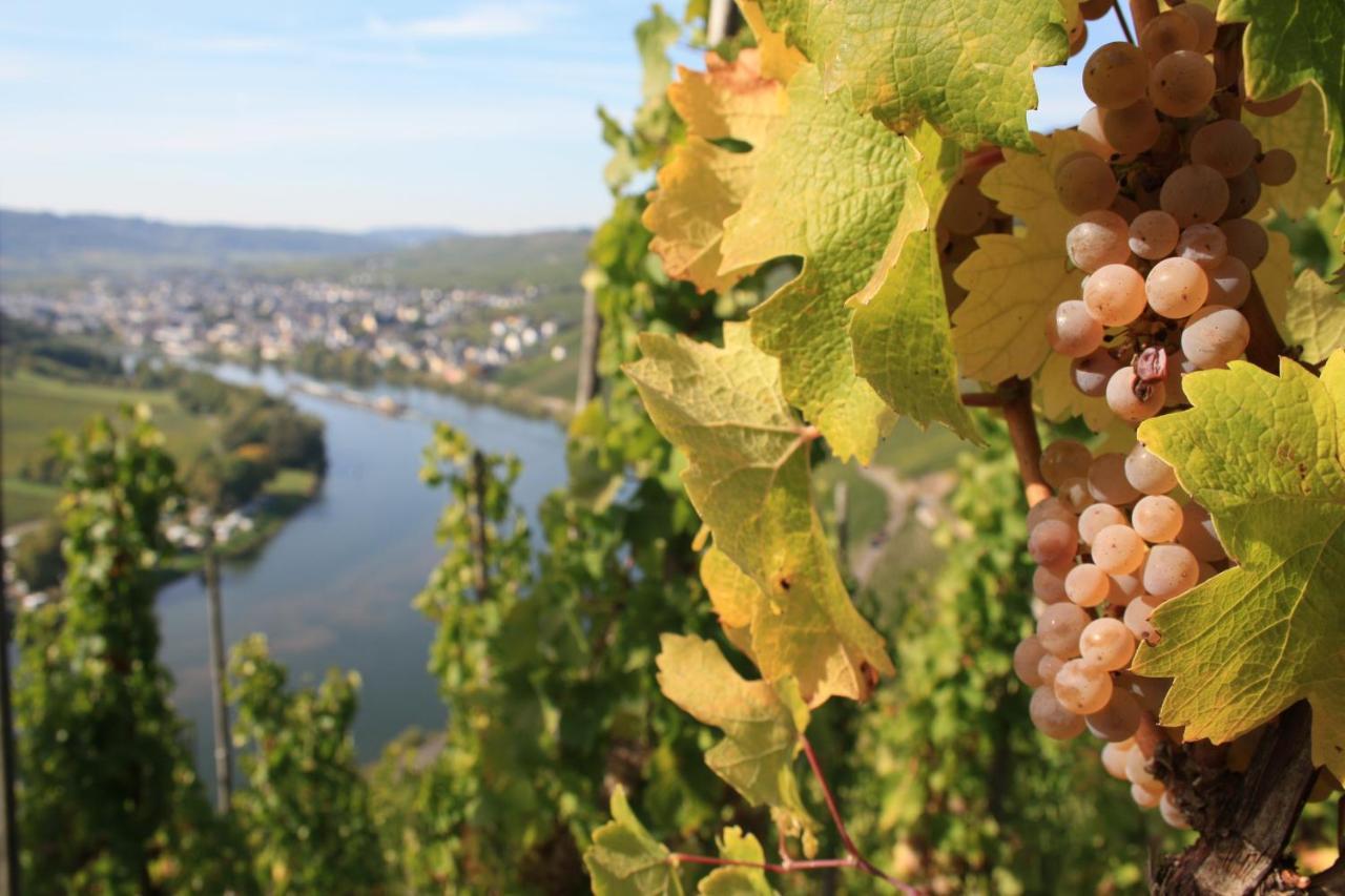 Weingut Markus Junglen Kröv Eksteriør billede